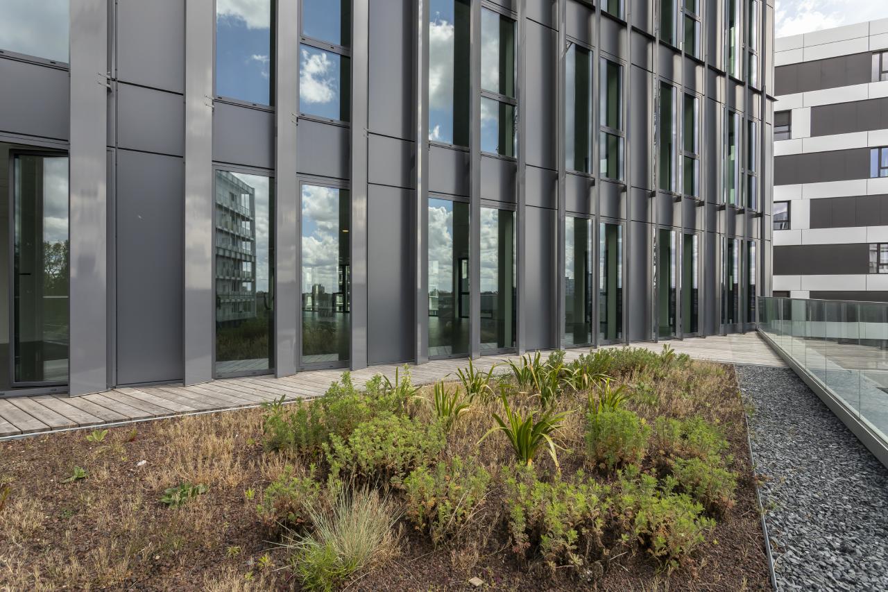 Bureau Lille 2467m² Vente bureau Lille Nord OVBUR2419465 16